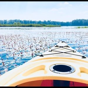 Meet your Posher, Chloe